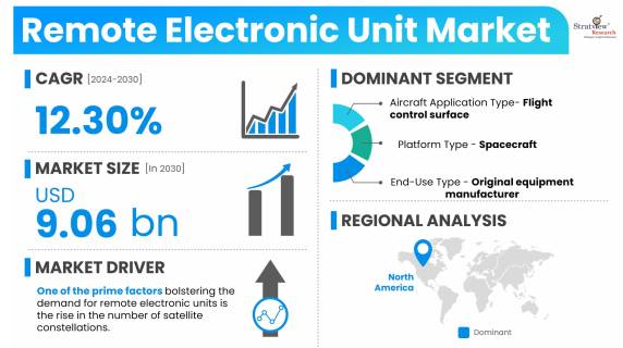 Remote-Electronic-Unit-Market-Dynamics